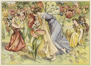 Die Tulpe von John Shenton Eland
